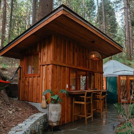 Magical Yurt In The Woods - 2 Miles From Town Hotel Невада Сити Екстериор снимка