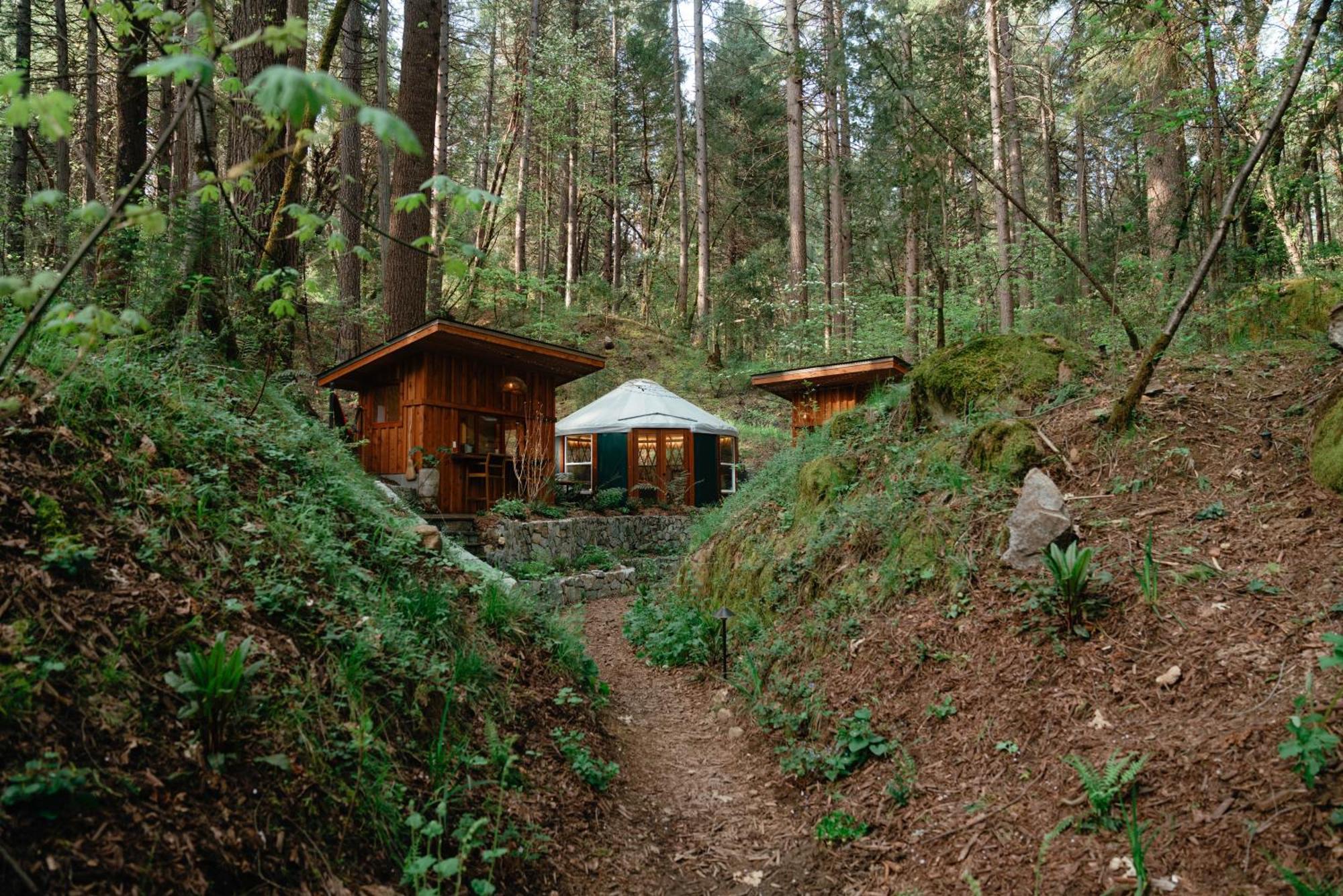 Magical Yurt In The Woods - 2 Miles From Town Hotel Невада Сити Екстериор снимка